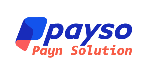 Payn Solution logo
